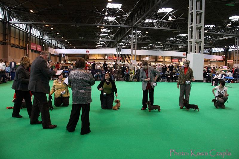 Crufts2011_2 523.jpg